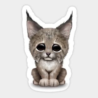 Cute Baby Lynx Cub Sticker